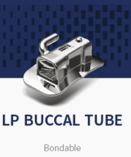 LP Buccal Tube